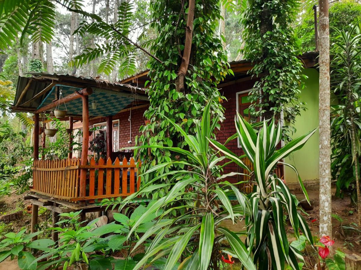 Green Heaven Lodge Ella Exteriér fotografie