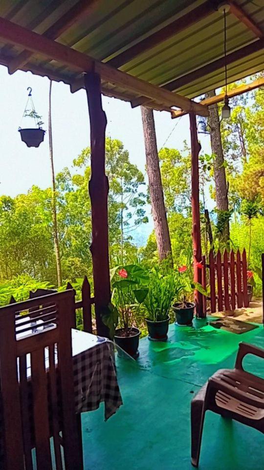 Green Heaven Lodge Ella Exteriér fotografie